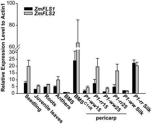 https://cdn.ncbi.nlm.nih.gov/pmc/blobs/f02e/3360202/c66170032f96/fpls-03-00101-g003.jpg
