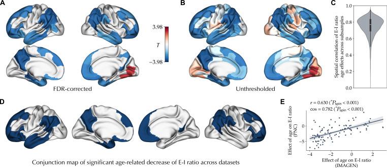https://cdn.ncbi.nlm.nih.gov/pmc/blobs/f032/12136046/a2edcde326ea/sciadv.adr8164-f3.jpg