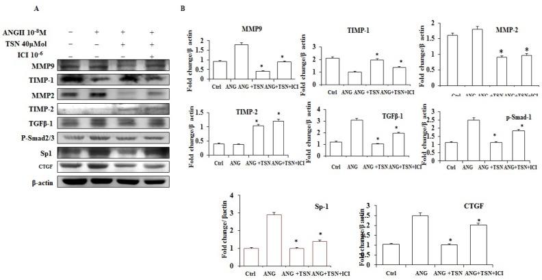 https://cdn.ncbi.nlm.nih.gov/pmc/blobs/f032/5666563/1bca411656f2/ijmsv14p1284g004.jpg