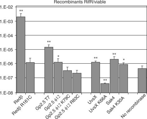 https://cdn.ncbi.nlm.nih.gov/pmc/blobs/f036/2896510/ba29833a1727/gkq096f5.jpg