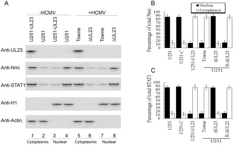 https://cdn.ncbi.nlm.nih.gov/pmc/blobs/f038/5805366/57b774045494/ppat.1006867.g005.jpg