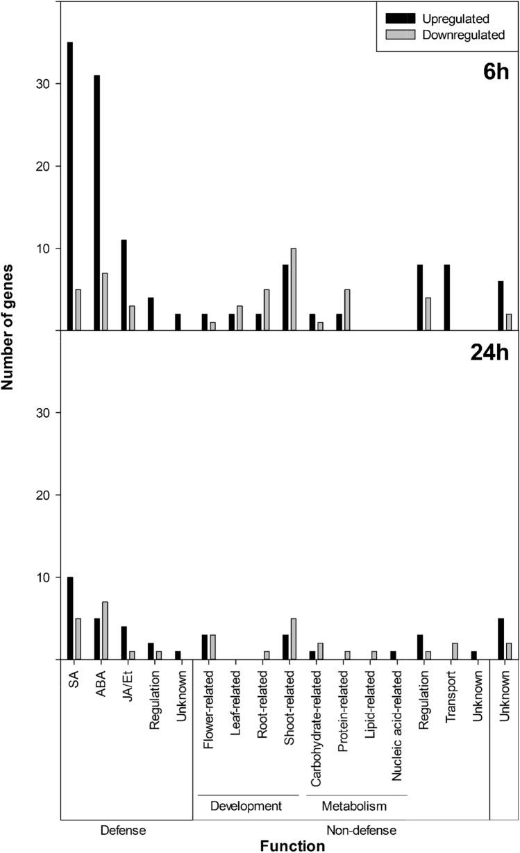 https://cdn.ncbi.nlm.nih.gov/pmc/blobs/f03c/11231009/8b58351b8d52/299_2024_3276_Fig1_HTML.jpg