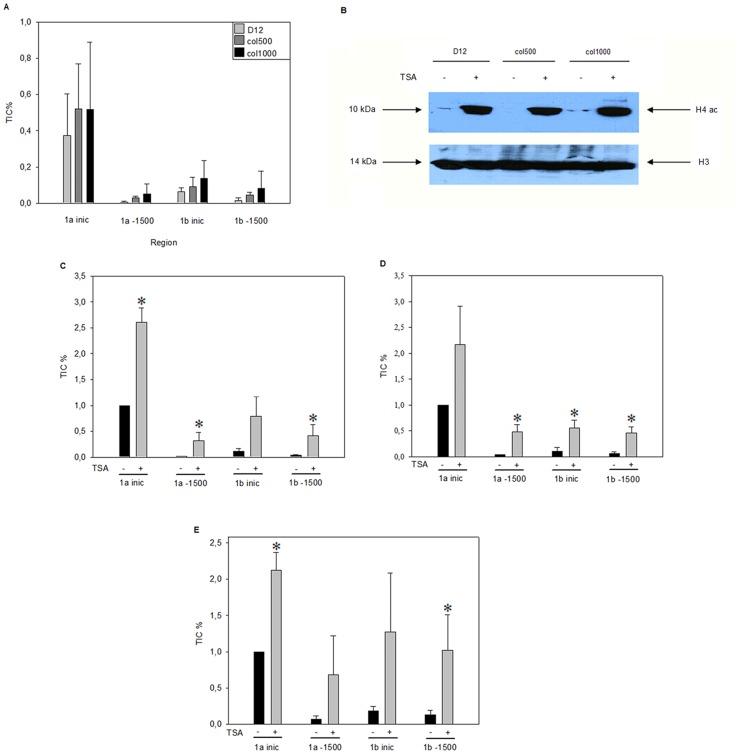 https://cdn.ncbi.nlm.nih.gov/pmc/blobs/f03e/3883685/bdc257951b01/pone.0084915.g005.jpg