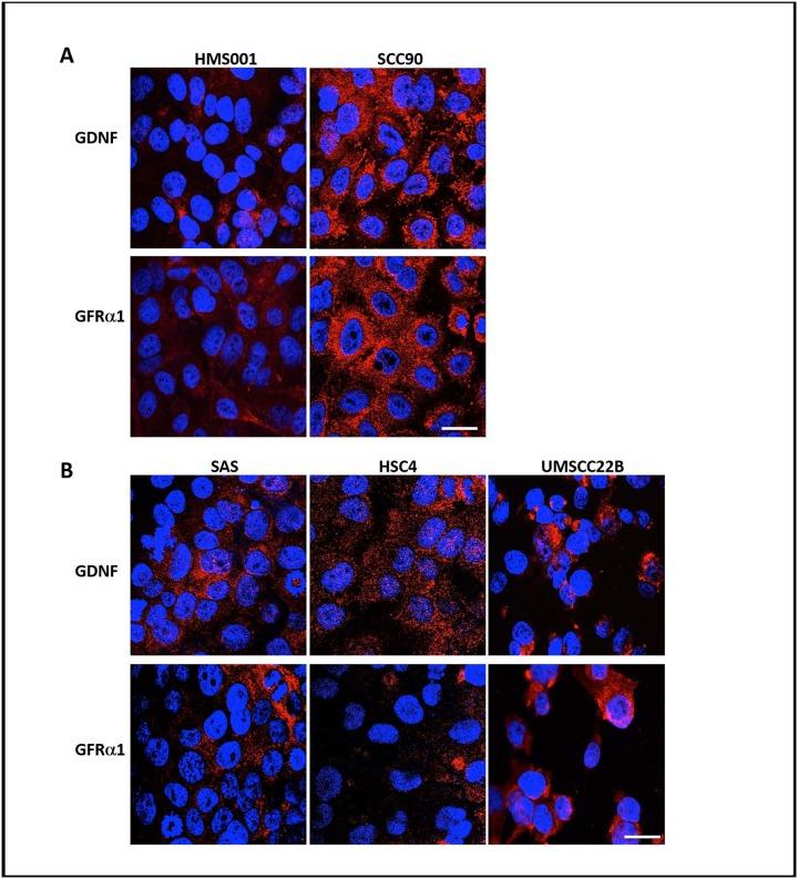 https://cdn.ncbi.nlm.nih.gov/pmc/blobs/f040/7034888/eabfebe0a81d/pone.0229311.g001.jpg