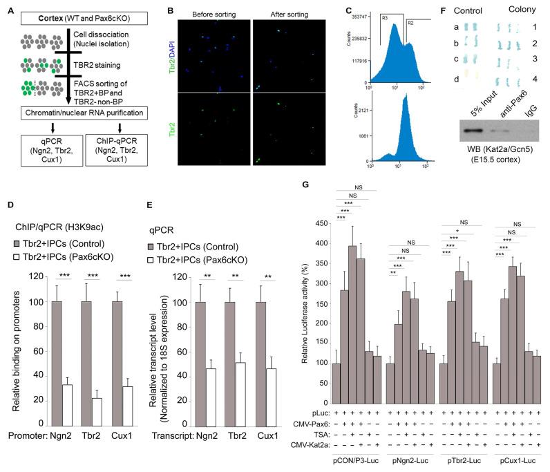 https://cdn.ncbi.nlm.nih.gov/pmc/blobs/f041/10886678/ae859fcf1e96/biology-13-00068-g005.jpg