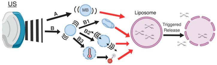 https://cdn.ncbi.nlm.nih.gov/pmc/blobs/f042/6470770/005a7de62829/pharmaceutics-11-00125-g002.jpg