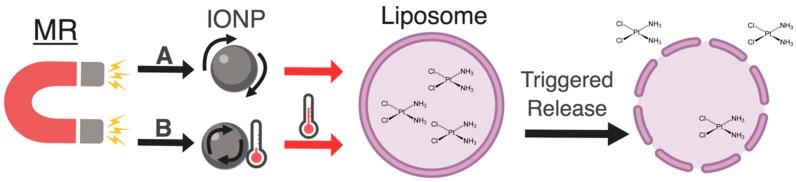 https://cdn.ncbi.nlm.nih.gov/pmc/blobs/f042/6470770/9192091eeb39/pharmaceutics-11-00125-g003.jpg