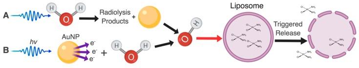 https://cdn.ncbi.nlm.nih.gov/pmc/blobs/f042/6470770/9c5282408960/pharmaceutics-11-00125-g004.jpg