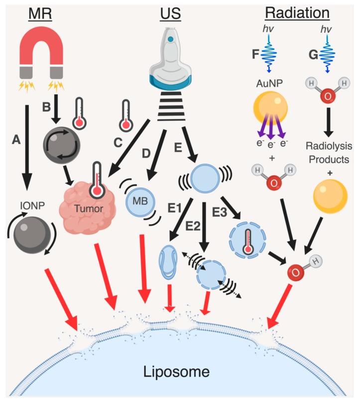 https://cdn.ncbi.nlm.nih.gov/pmc/blobs/f042/6470770/bb6be271073c/pharmaceutics-11-00125-g005.jpg