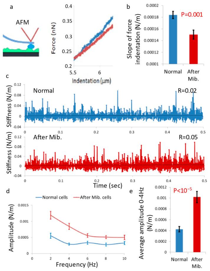 https://cdn.ncbi.nlm.nih.gov/pmc/blobs/f043/10378100/2e0347deecc6/cells-12-01901-g001.jpg