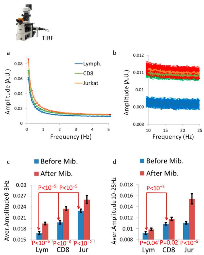 https://cdn.ncbi.nlm.nih.gov/pmc/blobs/f043/10378100/6942433e6de1/cells-12-01901-g003.jpg