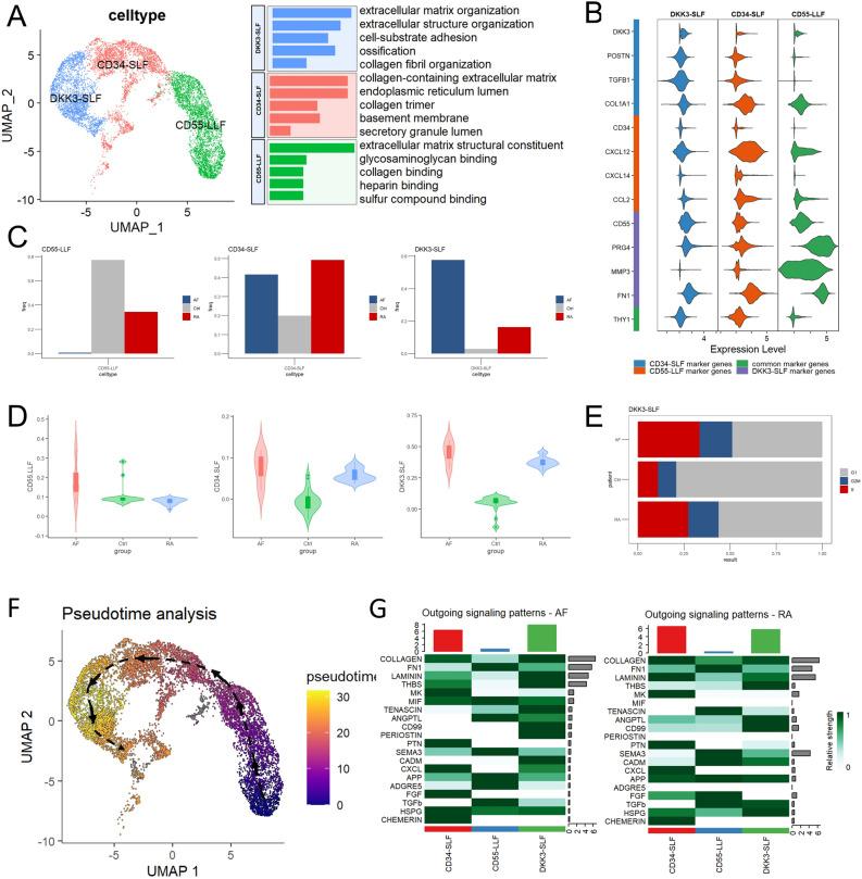https://cdn.ncbi.nlm.nih.gov/pmc/blobs/f043/11327321/161474122a1d/41598_2024_69080_Fig3_HTML.jpg