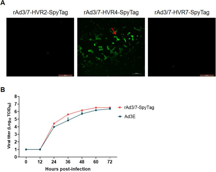 https://cdn.ncbi.nlm.nih.gov/pmc/blobs/f045/12336385/b0273d94dde3/IJN-20-9771-g0002.jpg