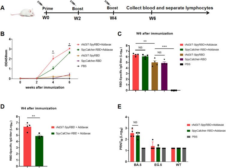 https://cdn.ncbi.nlm.nih.gov/pmc/blobs/f045/12336385/c3fe004fb757/IJN-20-9771-g0004.jpg