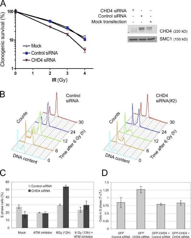 https://cdn.ncbi.nlm.nih.gov/pmc/blobs/f045/2935572/3b7664a16883/JCB_200912135_RGB_Fig2.jpg