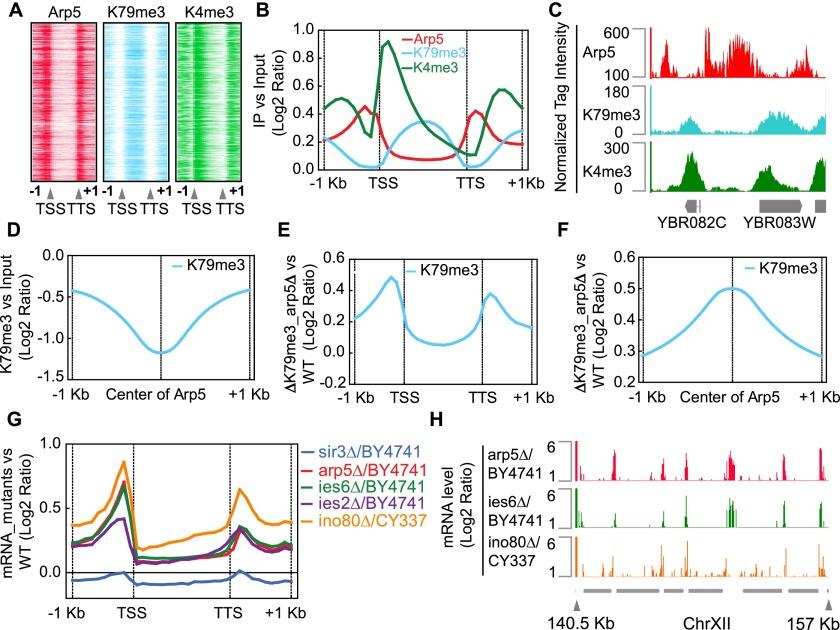 https://cdn.ncbi.nlm.nih.gov/pmc/blobs/f045/4335291/3a9227767316/350fig1.jpg