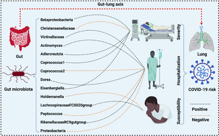 https://cdn.ncbi.nlm.nih.gov/pmc/blobs/f046/11299294/8af46470bf8f/12866_2024_3423_Fig3_HTML.jpg