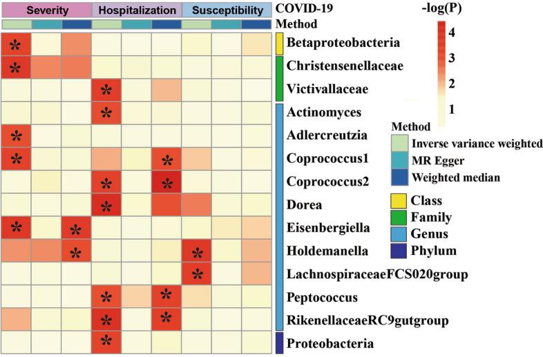 https://cdn.ncbi.nlm.nih.gov/pmc/blobs/f046/11299294/95d62820fce6/12866_2024_3423_Fig2_HTML.jpg