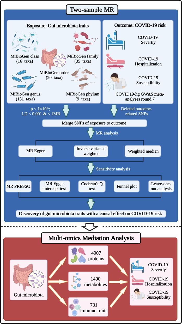 https://cdn.ncbi.nlm.nih.gov/pmc/blobs/f046/11299294/fc331e544420/12866_2024_3423_Fig1_HTML.jpg