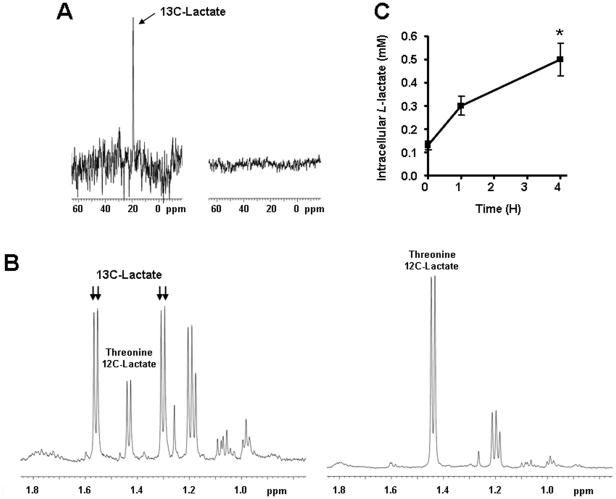 https://cdn.ncbi.nlm.nih.gov/pmc/blobs/f048/3302812/0aa60380f9da/pone.0033418.g001.jpg