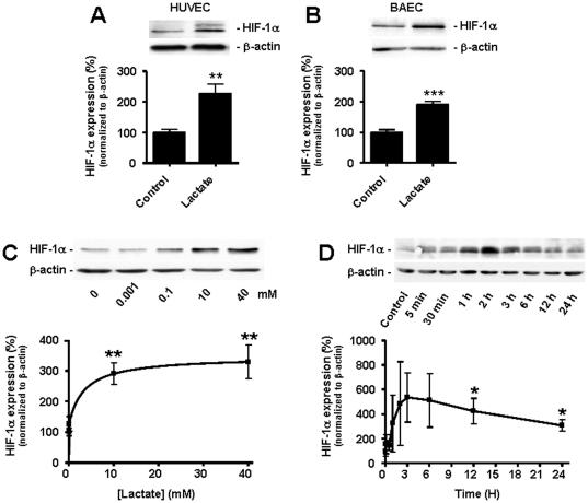 https://cdn.ncbi.nlm.nih.gov/pmc/blobs/f048/3302812/c0e87b20e817/pone.0033418.g003.jpg
