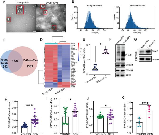 https://cdn.ncbi.nlm.nih.gov/pmc/blobs/f04a/11756183/09492e7e61a9/13287_2025_4140_Fig5_HTML.jpg