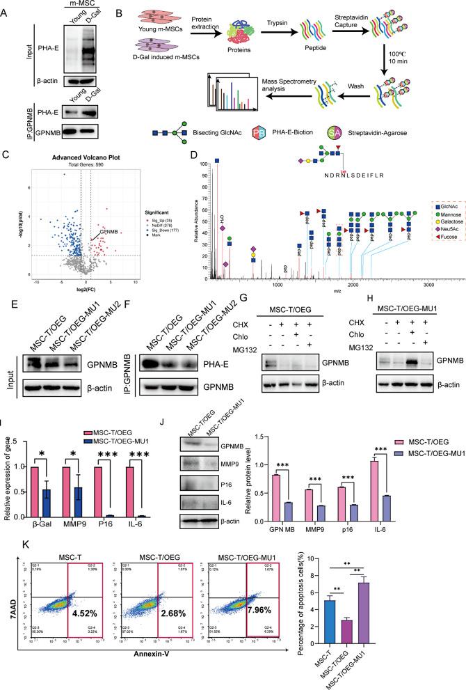 https://cdn.ncbi.nlm.nih.gov/pmc/blobs/f04a/11756183/512f87d51545/13287_2025_4140_Fig4_HTML.jpg