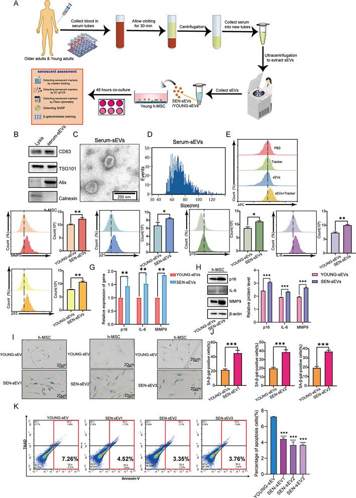 https://cdn.ncbi.nlm.nih.gov/pmc/blobs/f04a/11756183/69916d008280/13287_2025_4140_Fig1_HTML.jpg