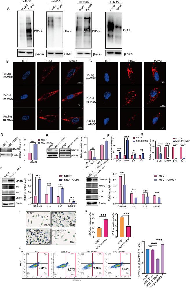 https://cdn.ncbi.nlm.nih.gov/pmc/blobs/f04a/11756183/a8013203a3c7/13287_2025_4140_Fig3_HTML.jpg