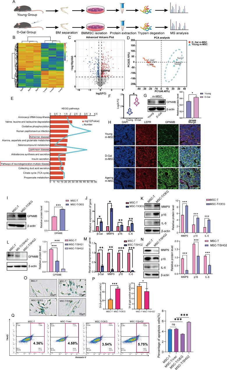https://cdn.ncbi.nlm.nih.gov/pmc/blobs/f04a/11756183/bc0b7d487fbc/13287_2025_4140_Fig2_HTML.jpg