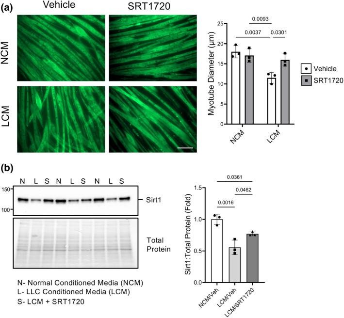 https://cdn.ncbi.nlm.nih.gov/pmc/blobs/f04d/11215470/83f7f72453b6/PHY2-12-e16103-g005.jpg
