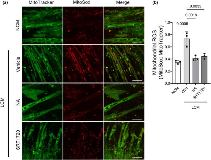 https://cdn.ncbi.nlm.nih.gov/pmc/blobs/f04d/11215470/98989e266410/PHY2-12-e16103-g001.jpg