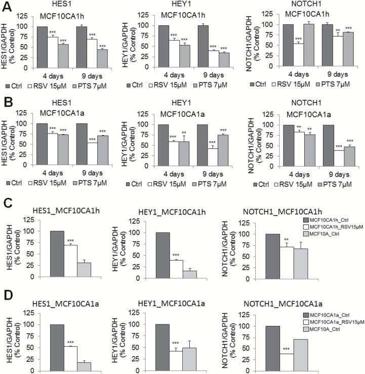 https://cdn.ncbi.nlm.nih.gov/pmc/blobs/f04d/4936385/05c734167afe/carcin_bgw048_f0004.jpg