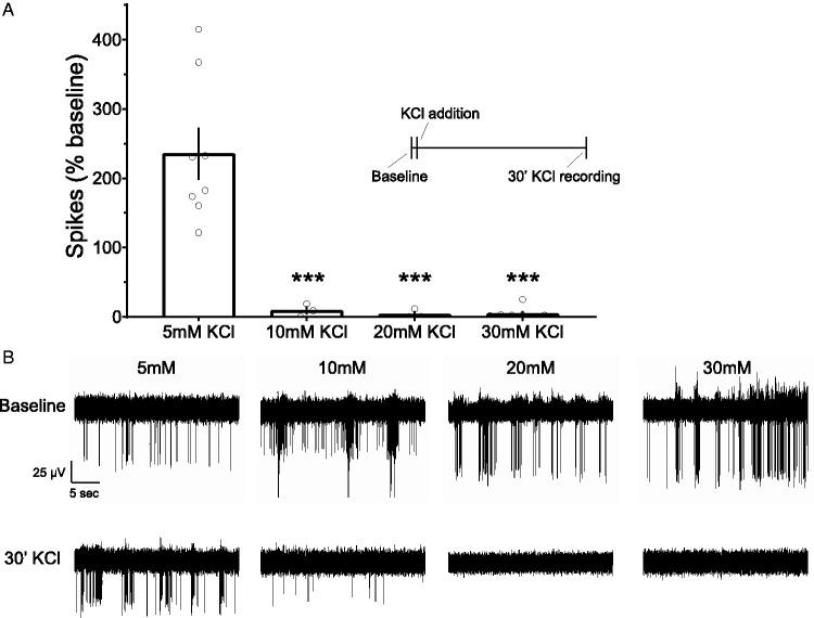https://cdn.ncbi.nlm.nih.gov/pmc/blobs/f04d/7711227/4f924b3bf3e8/10.1177_1759091420974807-fig1.jpg