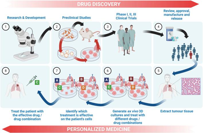 https://cdn.ncbi.nlm.nih.gov/pmc/blobs/f04e/11456561/edcccb7b5320/fphar-15-1438067-g006.jpg