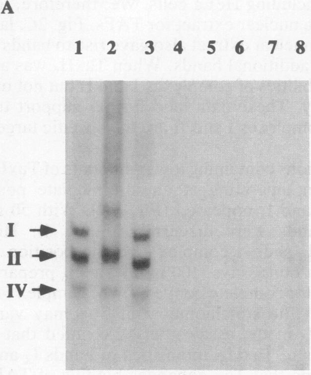 https://cdn.ncbi.nlm.nih.gov/pmc/blobs/f050/53152/aed37ff8be56/pnas01074-0477-a.jpg