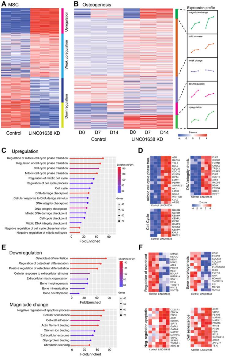 https://cdn.ncbi.nlm.nih.gov/pmc/blobs/f052/10662126/1cc8d9b1d421/41598_2023_46202_Fig3_HTML.jpg