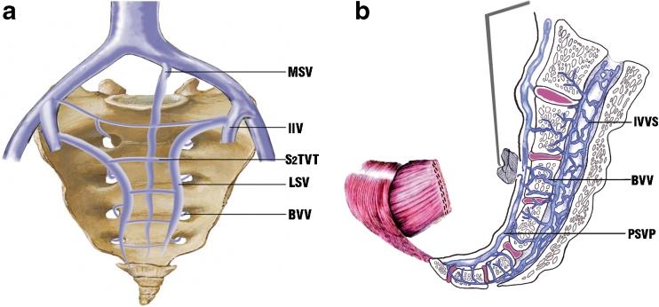 https://cdn.ncbi.nlm.nih.gov/pmc/blobs/f053/3546295/3f82f32b1042/11605_2012_2028_Fig1_HTML.jpg