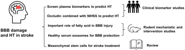 https://cdn.ncbi.nlm.nih.gov/pmc/blobs/f053/9297729/93a59acba9ff/fncel-16-968425-g0001.jpg