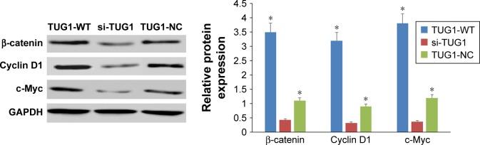https://cdn.ncbi.nlm.nih.gov/pmc/blobs/f055/6190633/3d0b4dbffc55/ott-11-6845Fig4.jpg