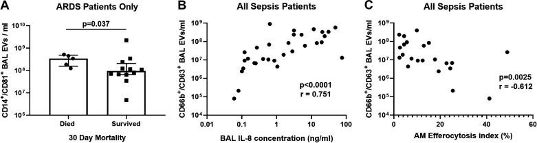https://cdn.ncbi.nlm.nih.gov/pmc/blobs/f055/8993517/00887f8370a2/ajplung.00052.2022_f003.jpg