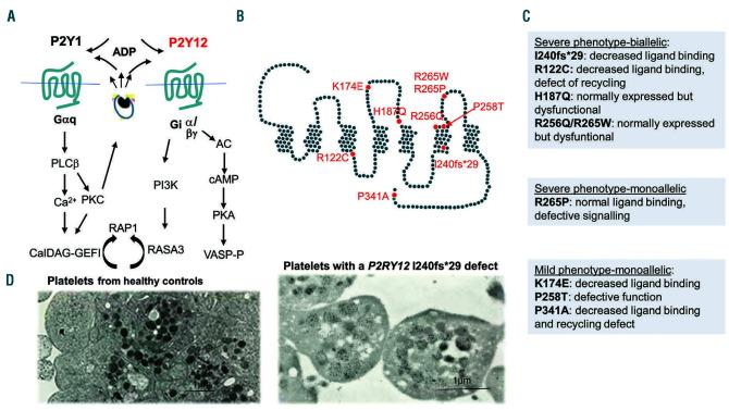 https://cdn.ncbi.nlm.nih.gov/pmc/blobs/f056/7849565/35175e25568c/106337.fig3.jpg