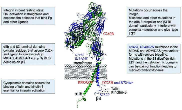 https://cdn.ncbi.nlm.nih.gov/pmc/blobs/f056/7849565/ffaf0ba81e27/106337.fig1.jpg
