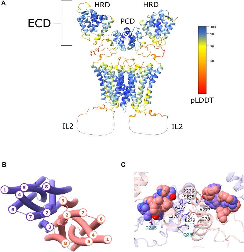 https://cdn.ncbi.nlm.nih.gov/pmc/blobs/f056/9530640/c949e2ee0ce9/fchem-10-1004815-g001.jpg