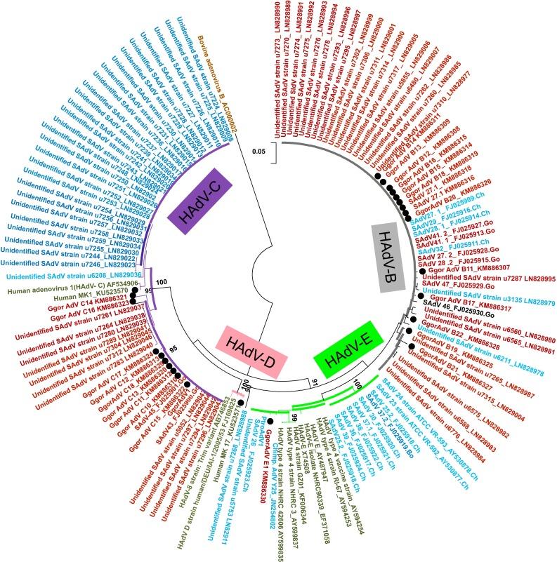 https://cdn.ncbi.nlm.nih.gov/pmc/blobs/f058/5002280/dddc25df6d81/11262_2016_1360_Fig2_HTML.jpg