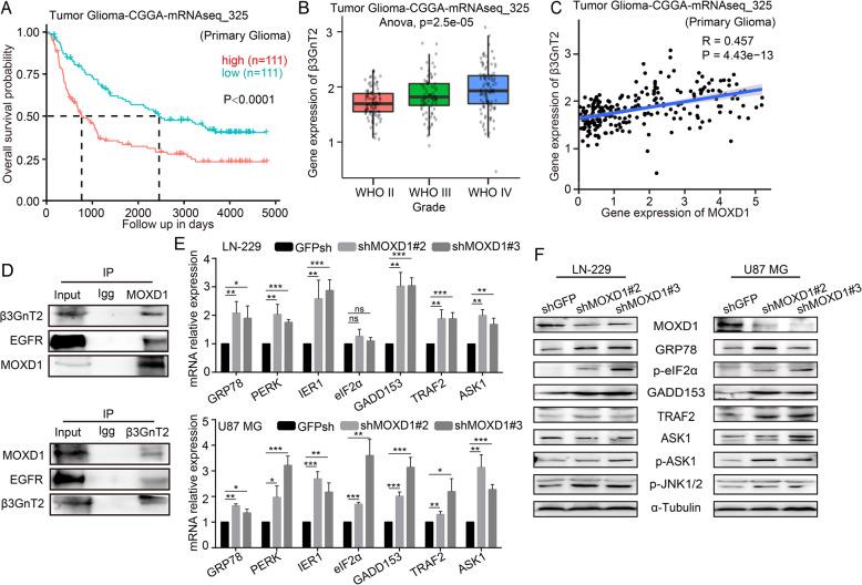 https://cdn.ncbi.nlm.nih.gov/pmc/blobs/f05a/8991257/12598ccf05c6/41420_2022_976_Fig6_HTML.jpg