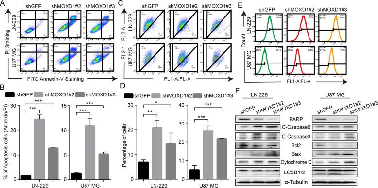 https://cdn.ncbi.nlm.nih.gov/pmc/blobs/f05a/8991257/5055c90a6c2f/41420_2022_976_Fig5_HTML.jpg