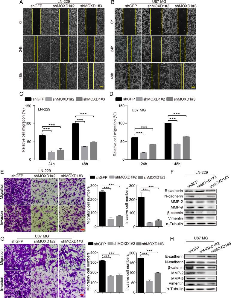 https://cdn.ncbi.nlm.nih.gov/pmc/blobs/f05a/8991257/b686ac5fd168/41420_2022_976_Fig4_HTML.jpg