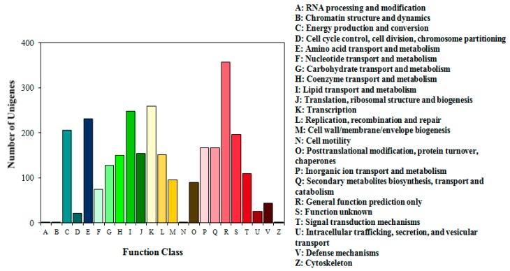 https://cdn.ncbi.nlm.nih.gov/pmc/blobs/f05b/4964388/9fabdf167278/ijms-17-01012-g004.jpg