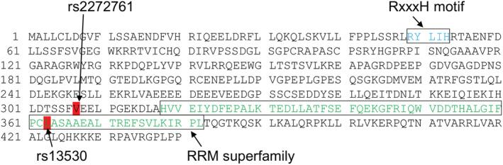 https://cdn.ncbi.nlm.nih.gov/pmc/blobs/f05b/9972014/9db23db33e5b/CAM4-12-4294-g001.jpg